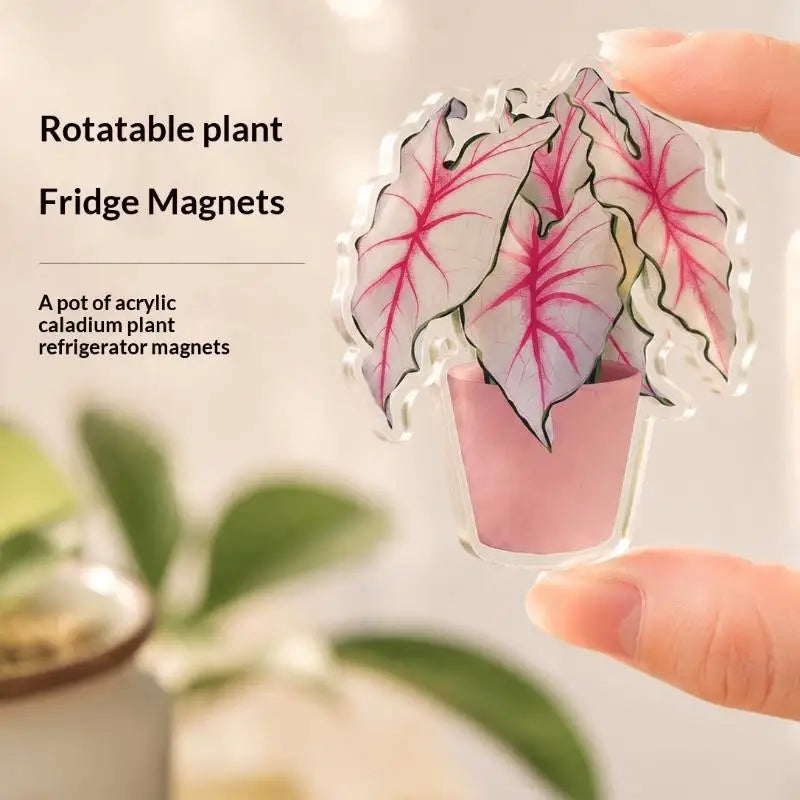 Rotatable Artificial Plant Fridge Magnet | Acrylic Tropical Decor