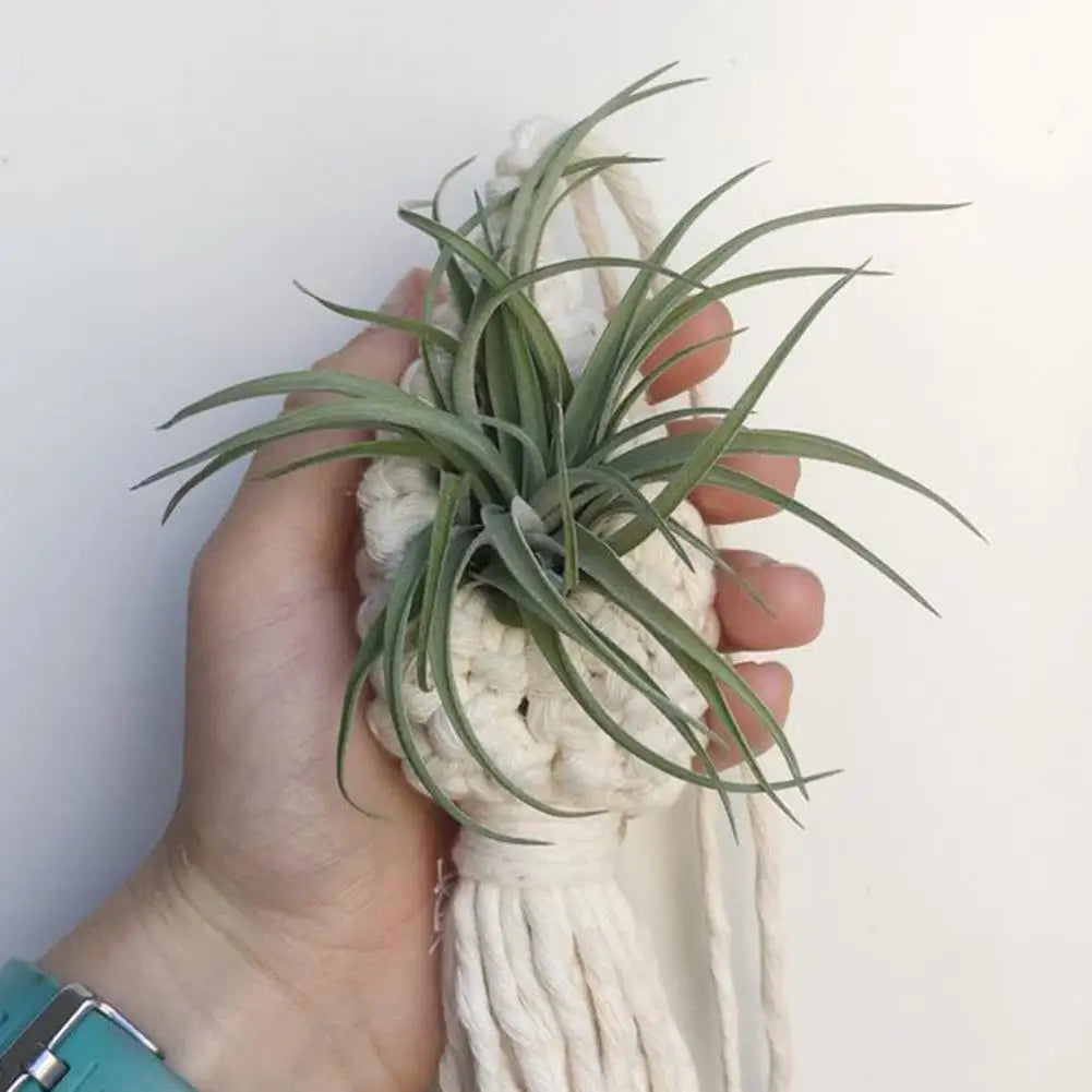 Macrame Hanging Basket | Handmade Cotton Plant Hanger