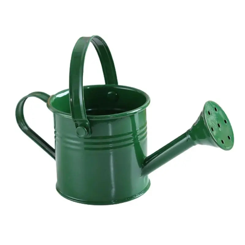 Metal Galvanized Watering Can for Garden – Anti-Rust Iron Pot