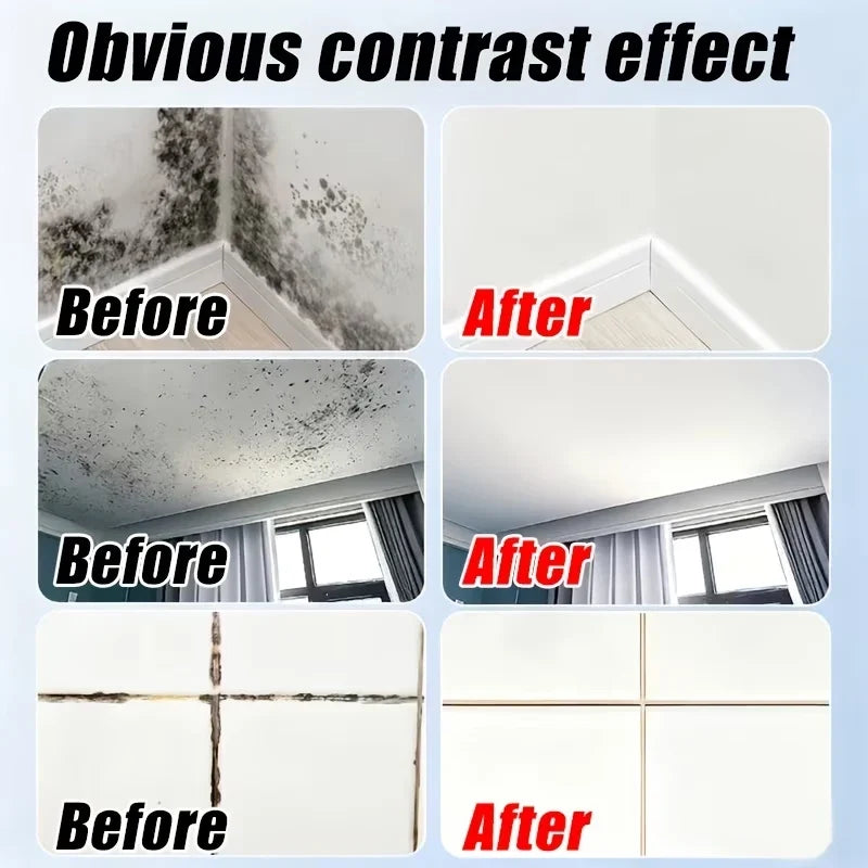 Wall Mold Remover Spray – Anti-Mold Household Cleaner