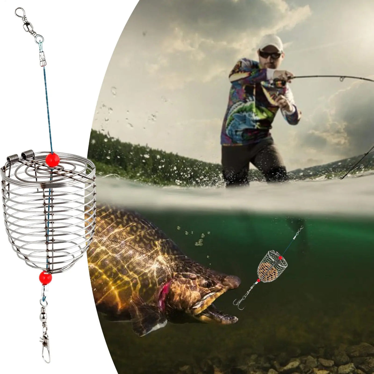 Stainless Steel Fishing Bait Cage Trap – Fresh & Saltwater