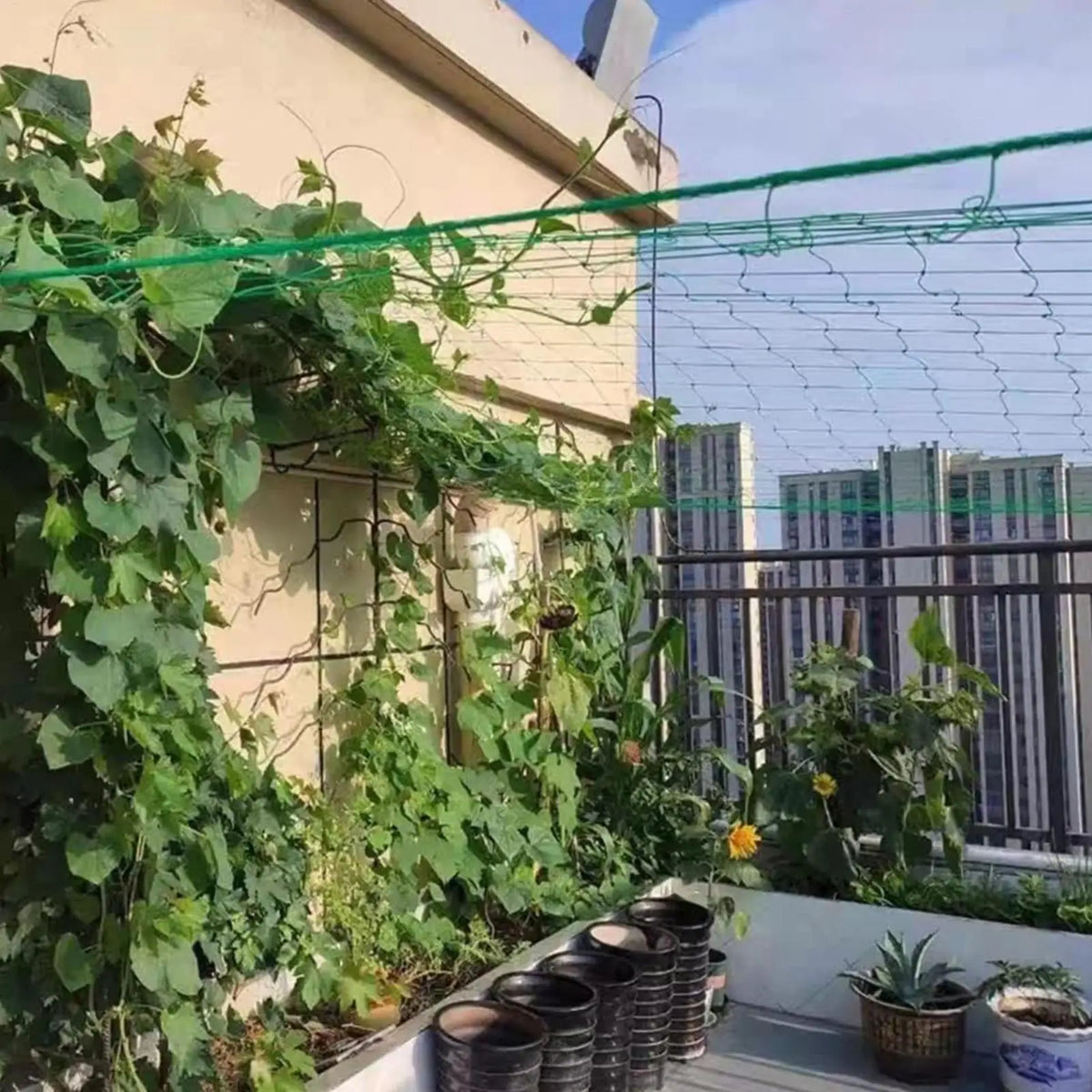 Durable Trellis Netting – Garden Plant Climbing Support Net