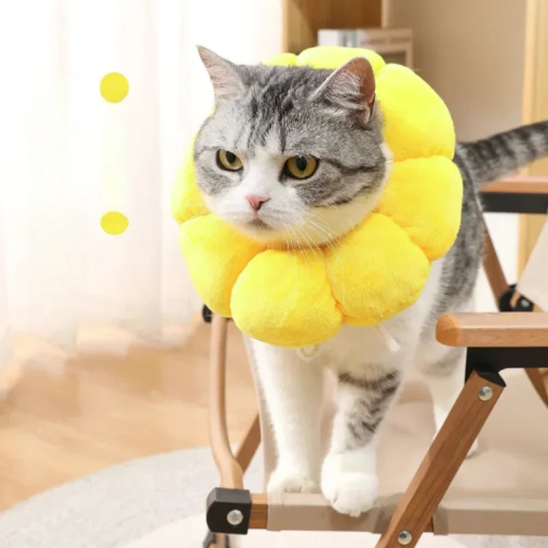 Soft Plush Cat Recovery Collar – Adjustable Anti-Lick E-Collar