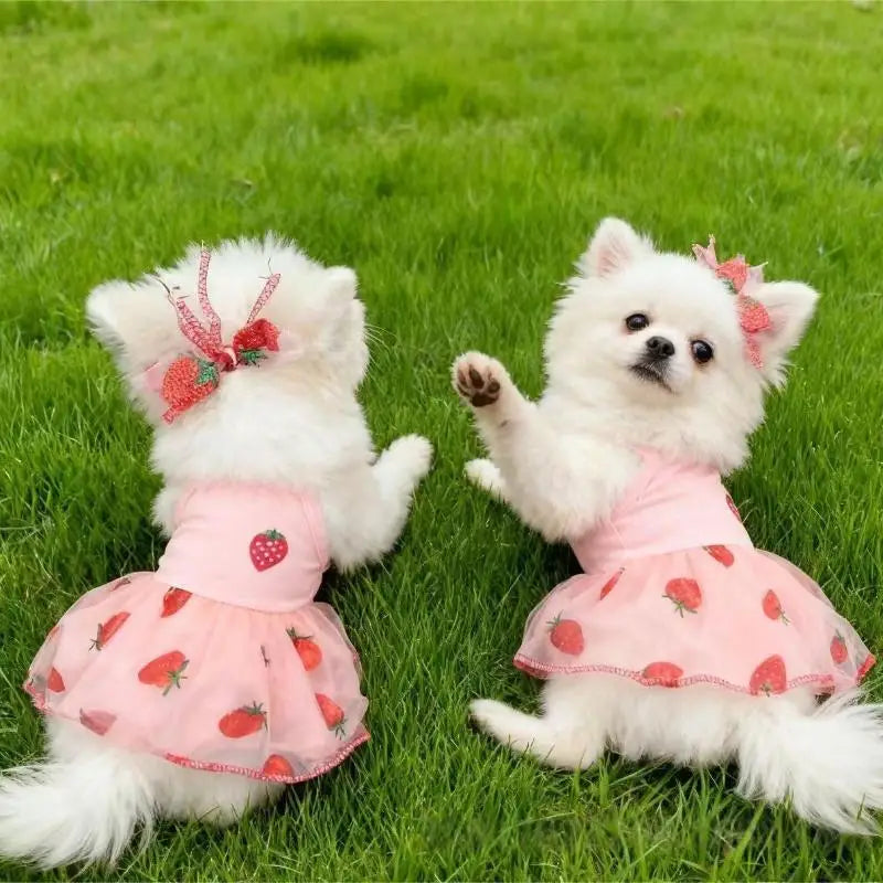 Strawberry Princess Pet Dress for Cats & Dogs – XS to XL