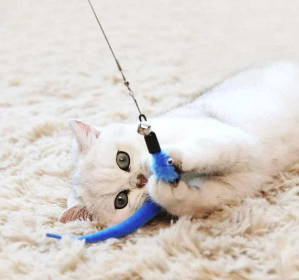 11-Piece Retractable Cat Feather Wand Toy Set – 10 Refills