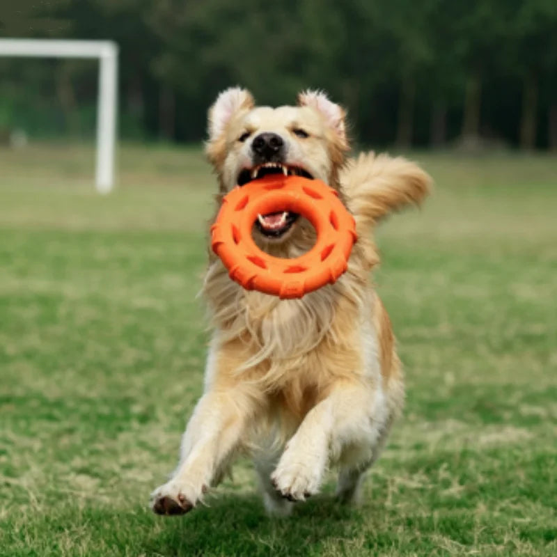 TPR Foam Dog Pull Ring Toy – Bite-Resistant Interactive Chew