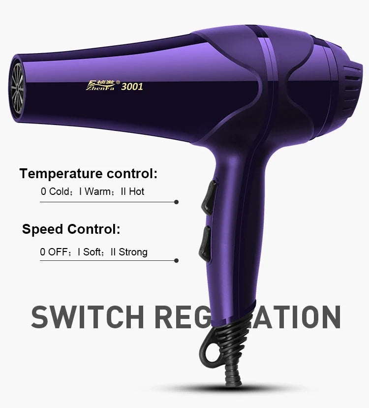 Ion Hair Dryer 900W Quiet Anion – Travel & Salon Styling