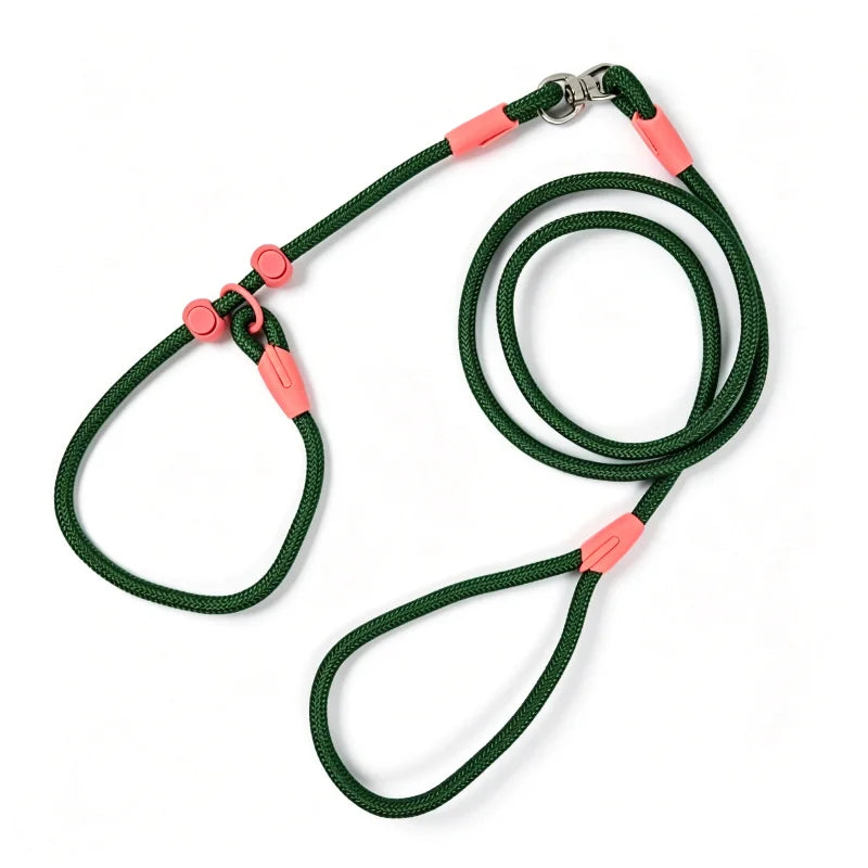 Tangle-Free Nylon Dog Training Leash P-Chain Collar 160cm