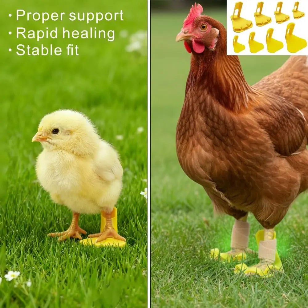 4pcs Adjustable Poultry Leg Splints & Toe Separators for Birds