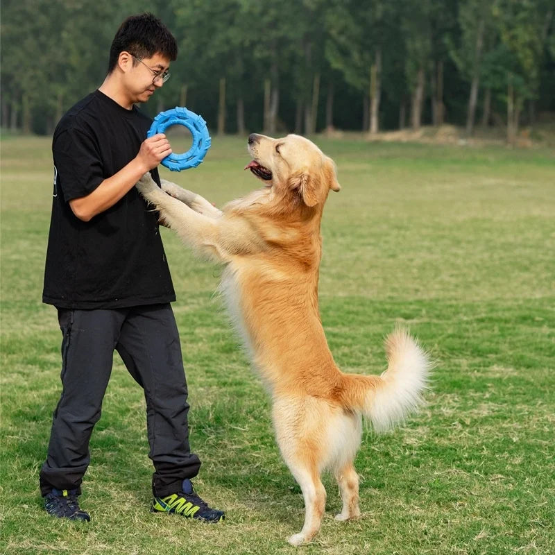 TPR Foam Dog Pull Ring Toy – Bite-Resistant Interactive Chew