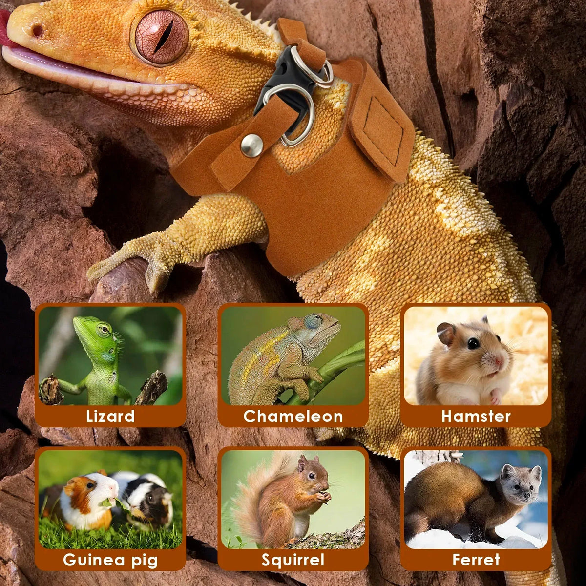 3-Pack Lizard Harness & Leash – Bearded Dragon S/M/L Set