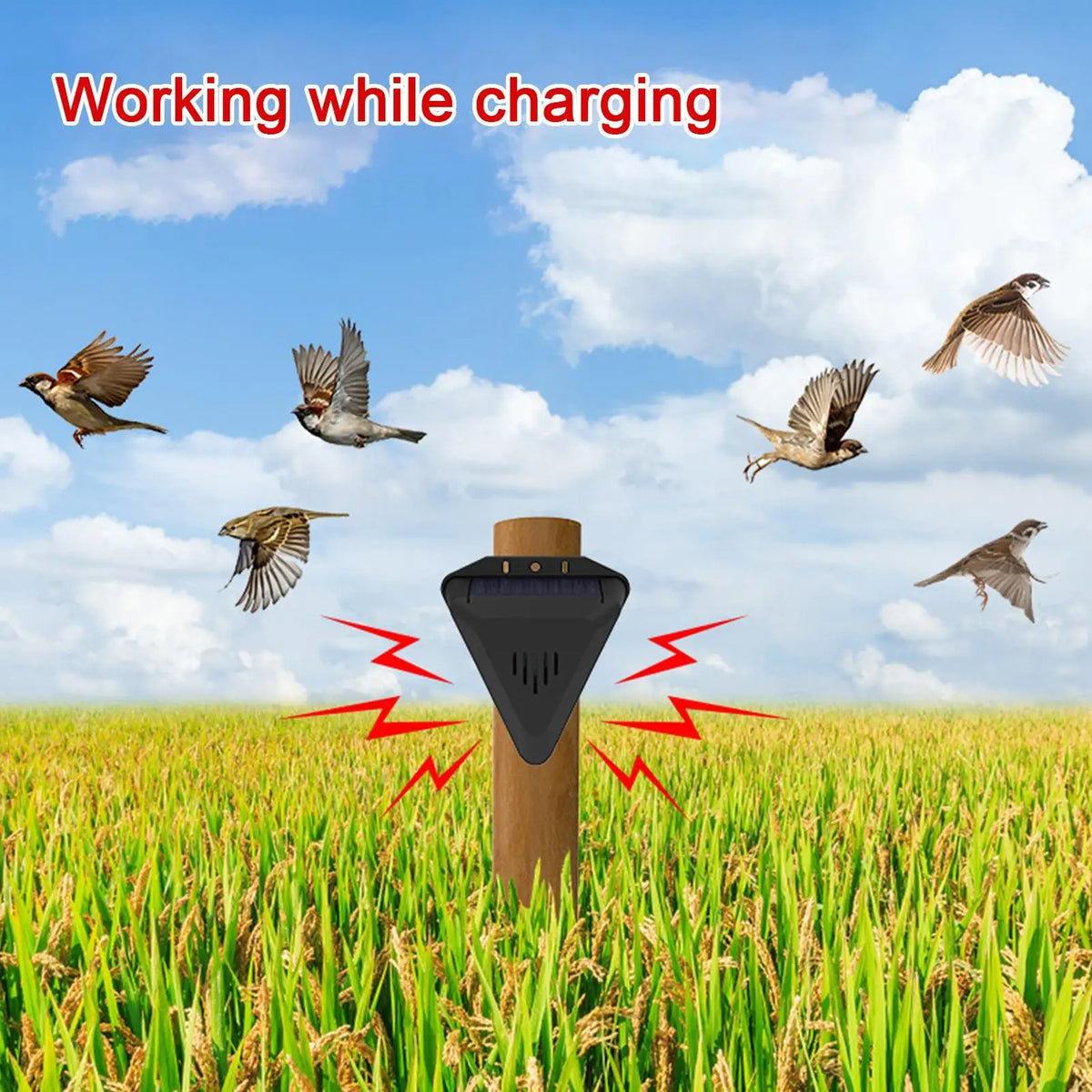 Solar Bird & Animal Repeller – 13 Sounds, Waterproof Outdoor