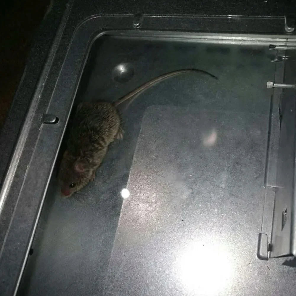 Reusable Mouse Catcher Trap with Protective Cover | Rodent Control