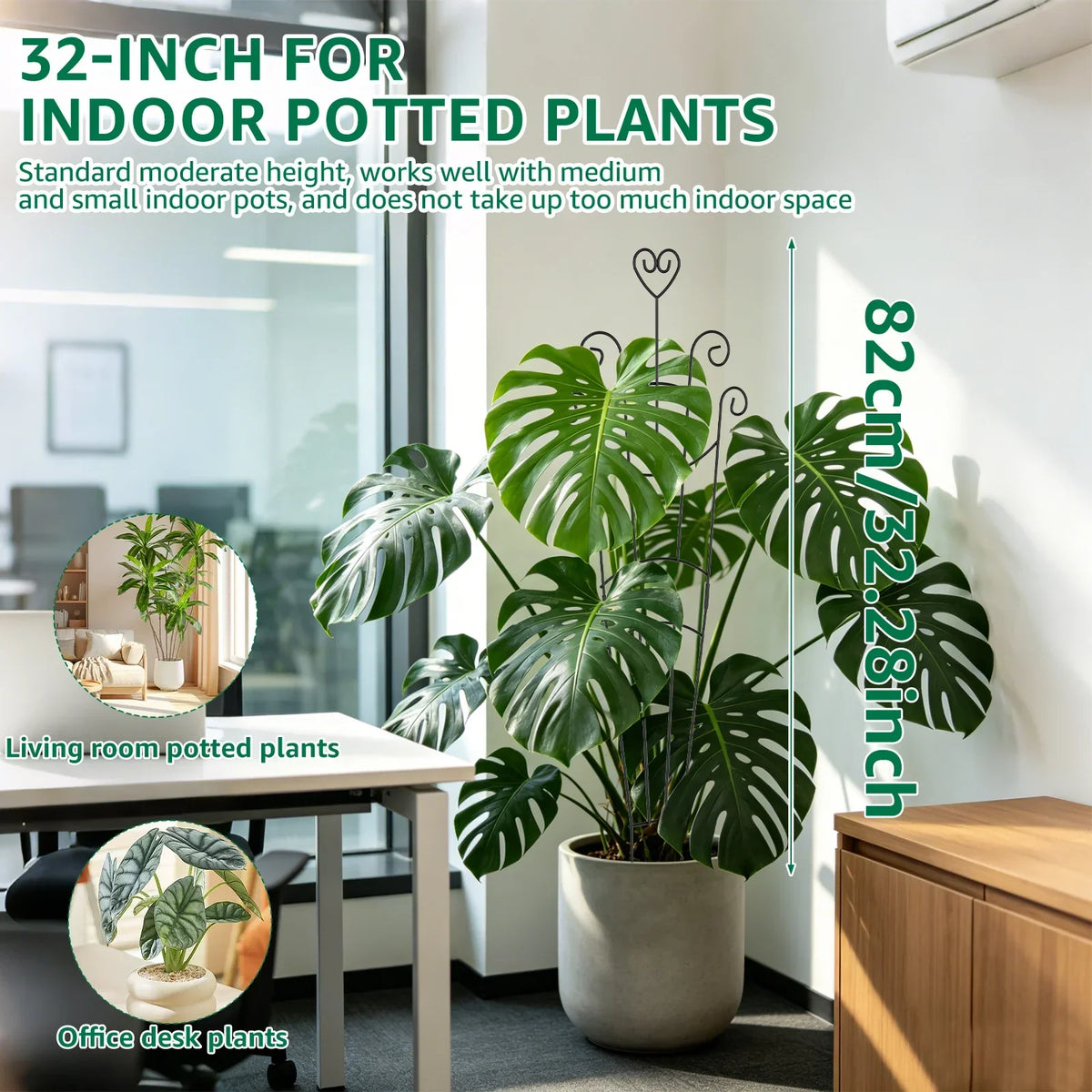 Metal Plant Climbing Trellis 2Pcs – Monstera Vine Support