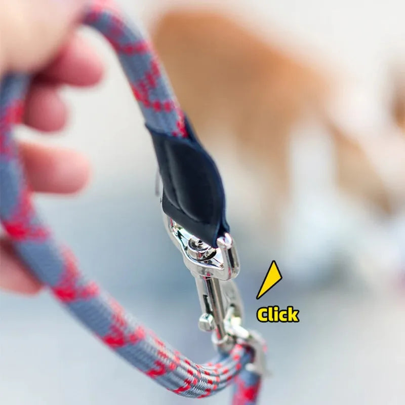 Reflective Double-Head Hands-Free Dog Training Leash – S/M/L