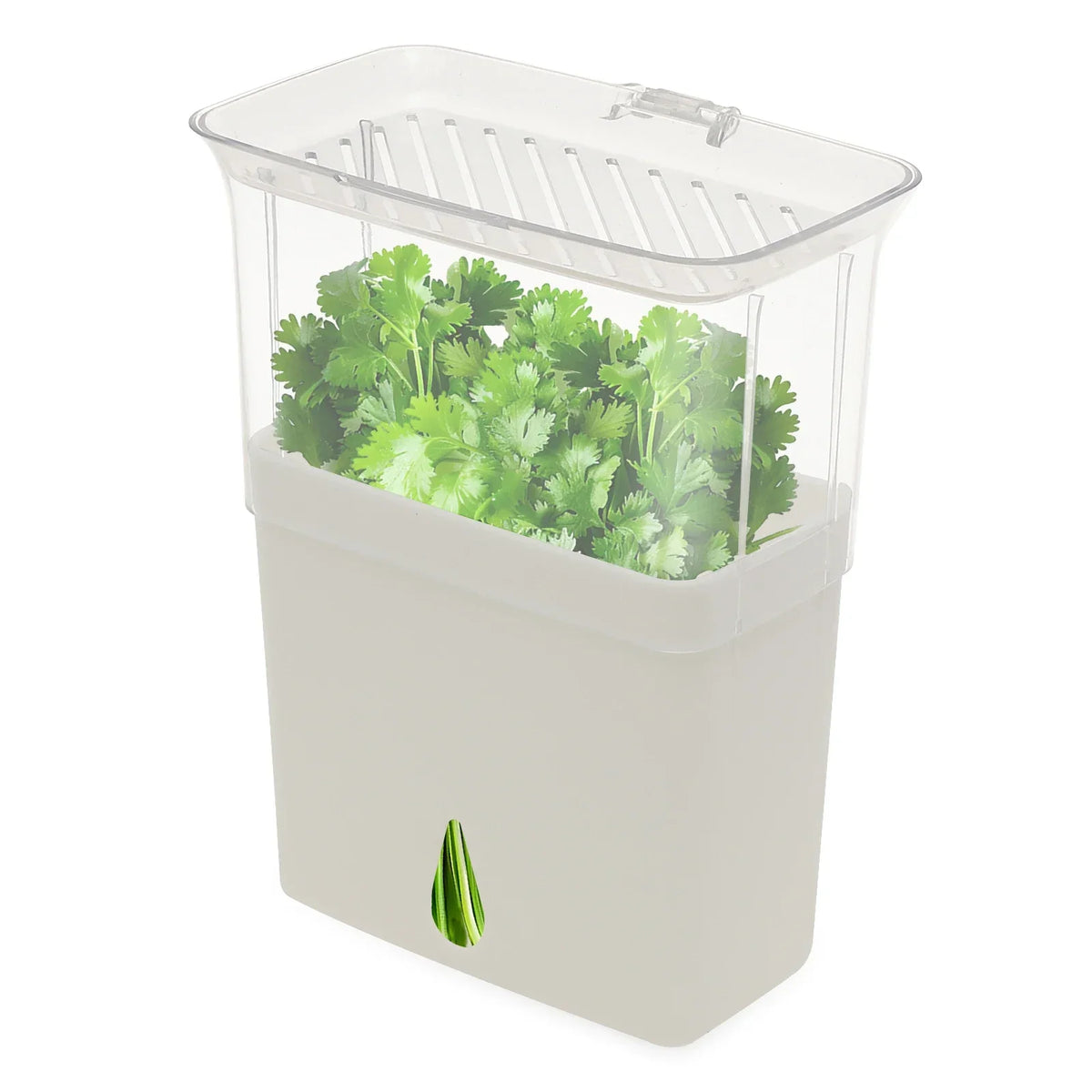Airtight Herb Keeper Storage Container with 3 Dividers