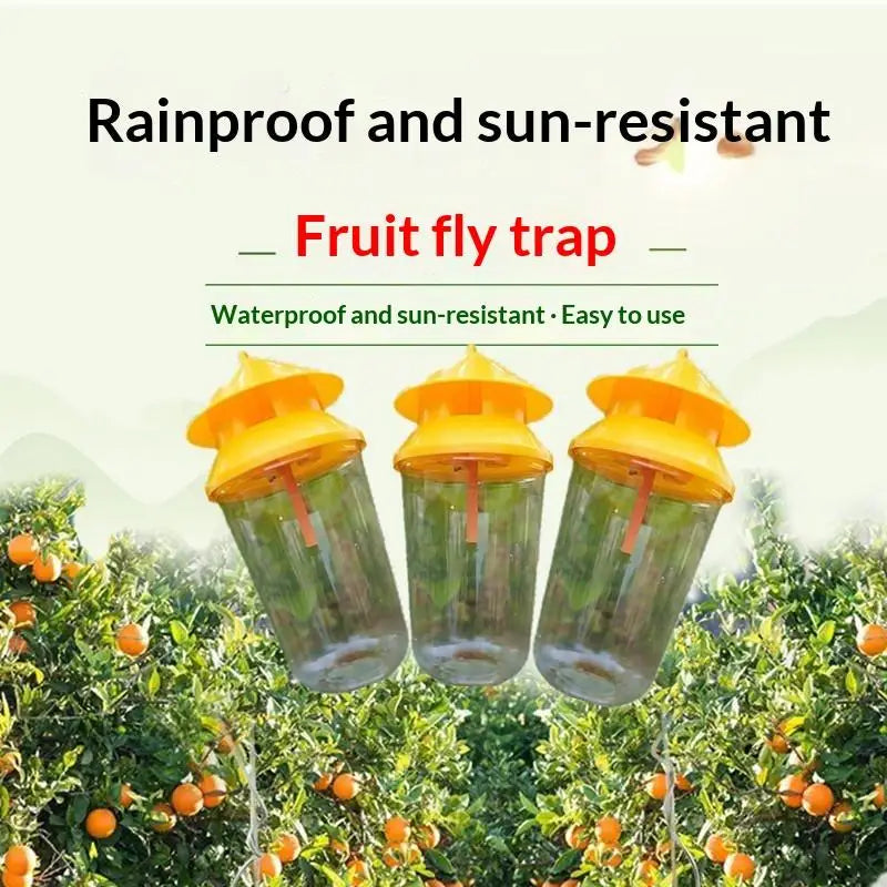 Reusable Fruit Fly Trap with 30-Day Slow-Release Lure | JETTING
