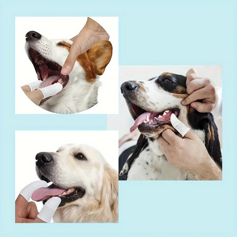 10-Pack Pet Finger Toothbrush Cots for Cats & Dogs | Nixie
