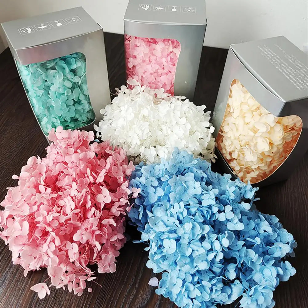 20g Dried Hydrangea Flowers – Resin, Jewelry & DIY Crafts