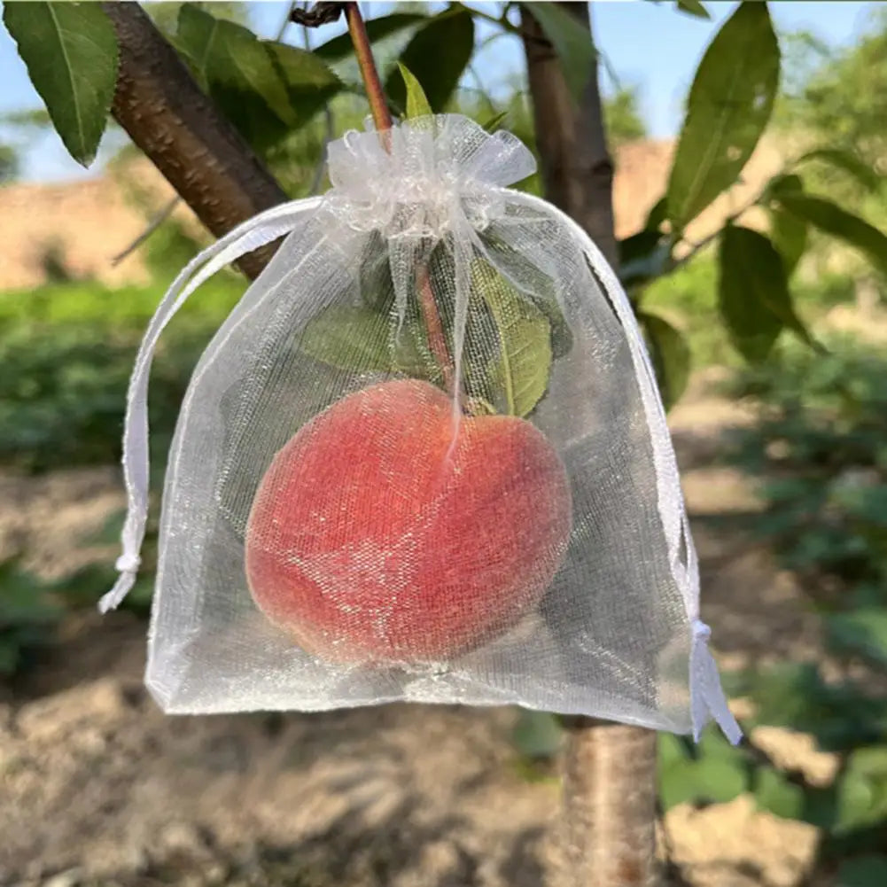 Reusable Mesh Fruit Protection Bags with Drawstring – 10–40 Pack