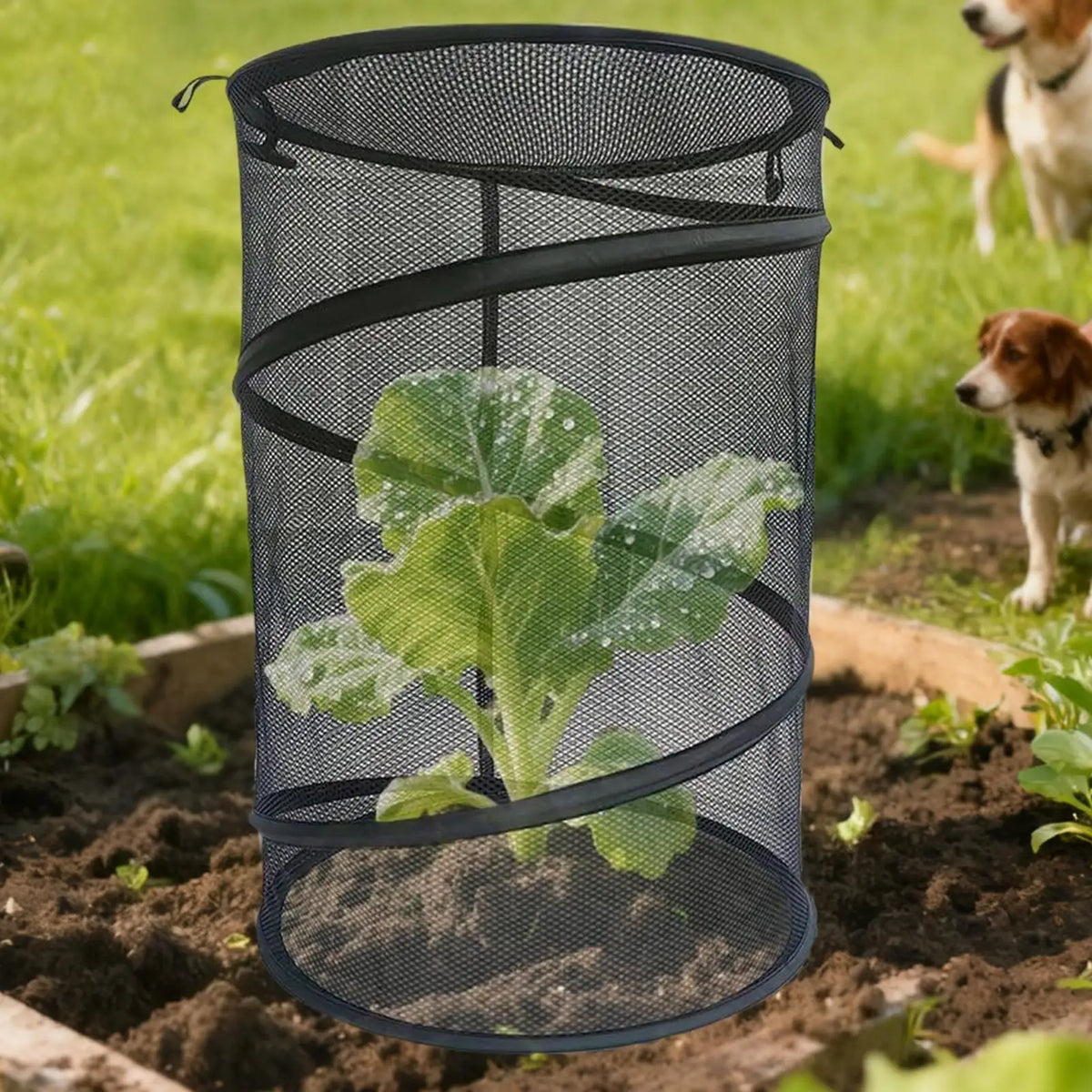 Pop-Up Garden Plant Cloche Cover | Mesh Protector & Stakes