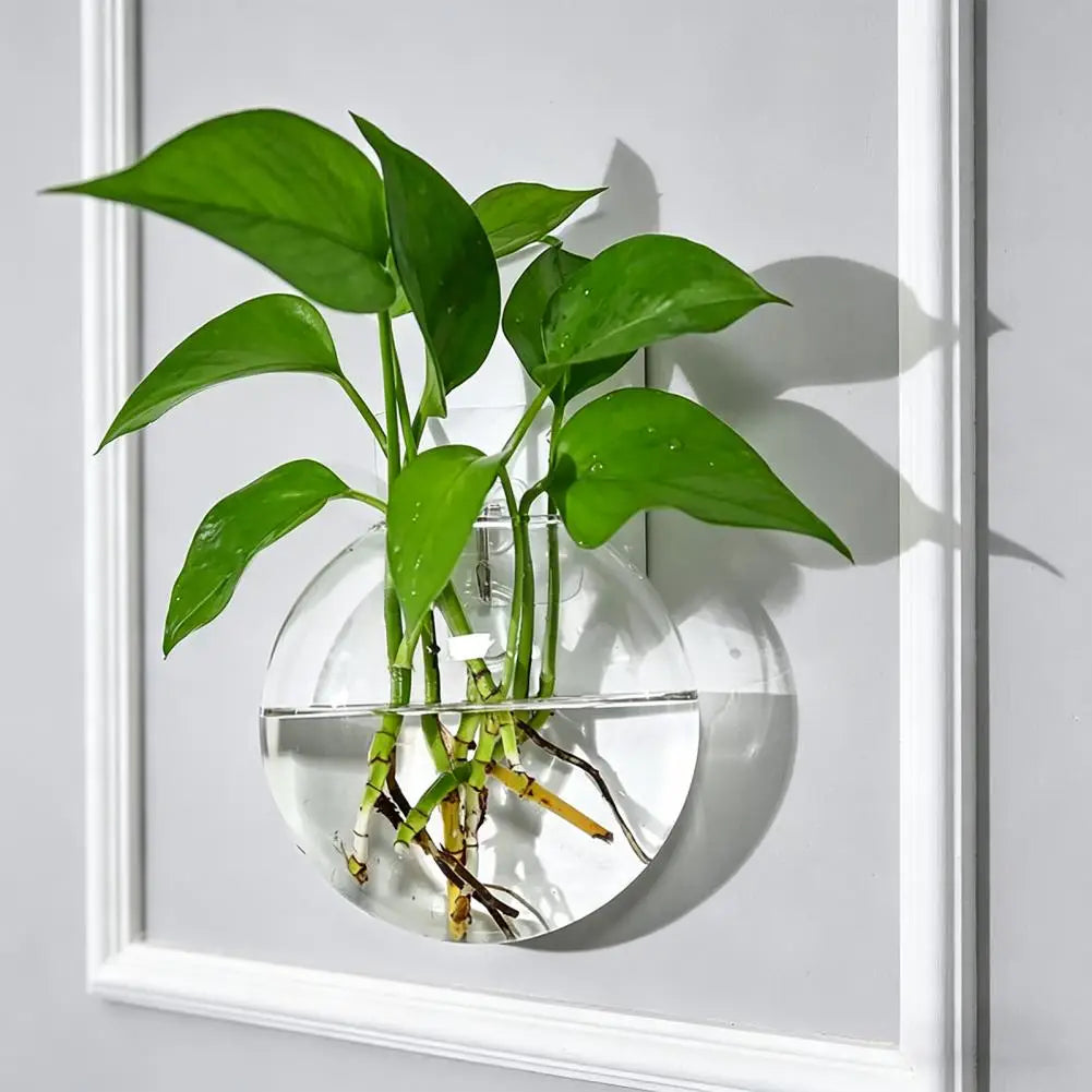 Wall Hanging Glass Planter | Hydroponic Vase Terrarium