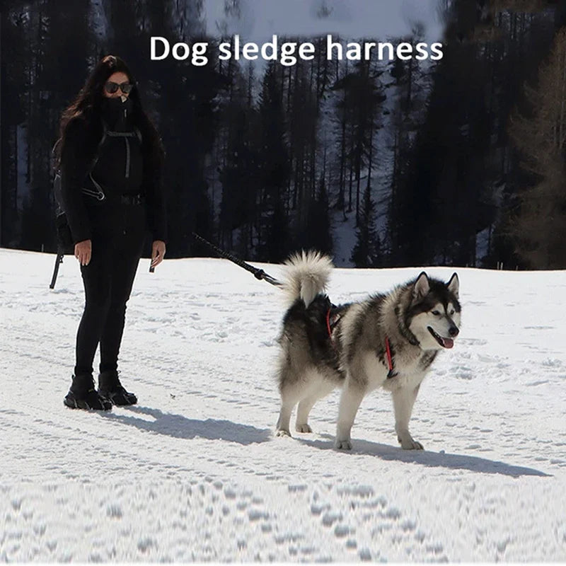 Dog Sled Harness & Weight Training Leash | Husky Scooter