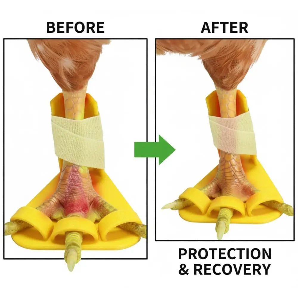 4pcs Adjustable Poultry Leg Splints & Toe Separators for Birds