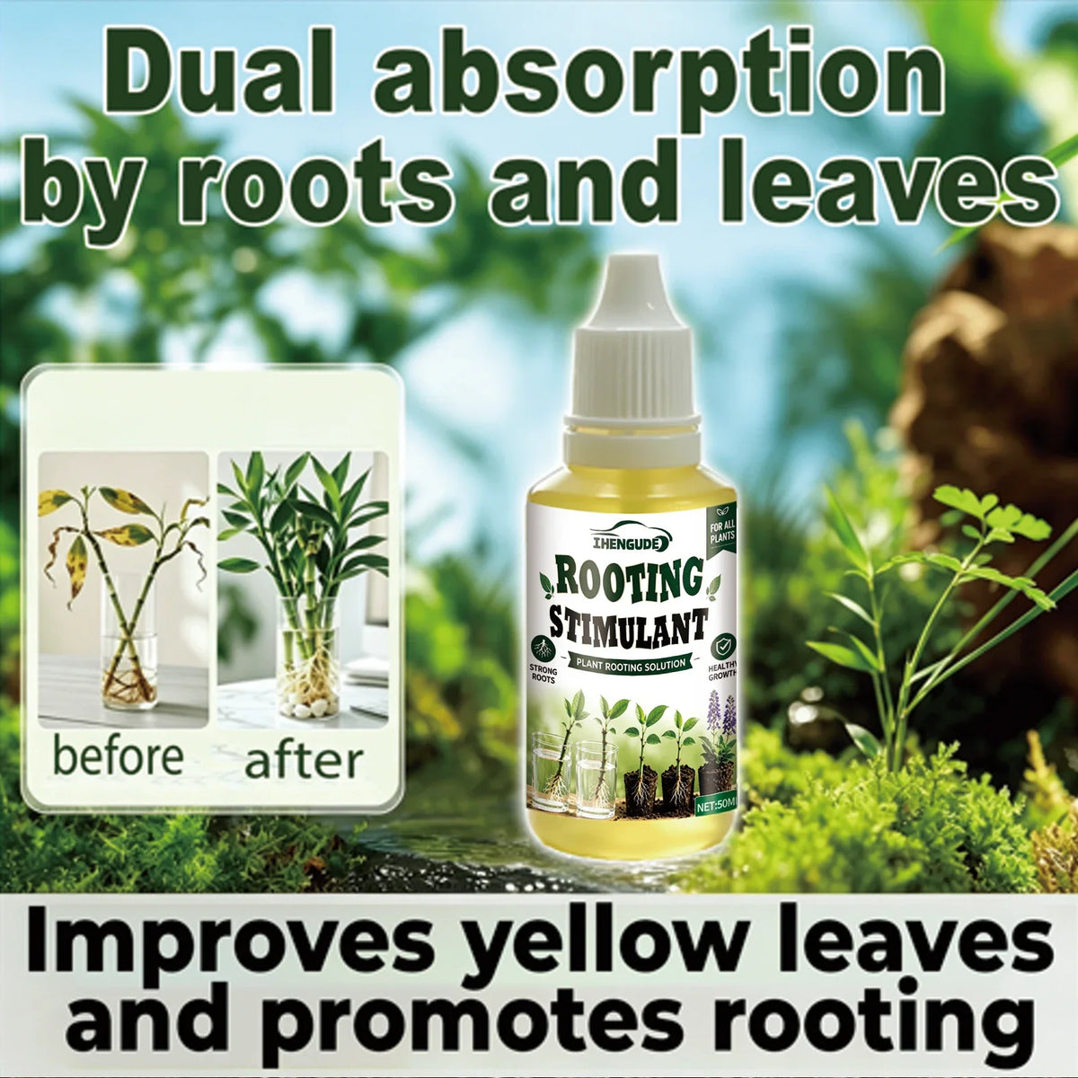 Plant Rooting Promoter & Germination Kit | Boost Root Growth