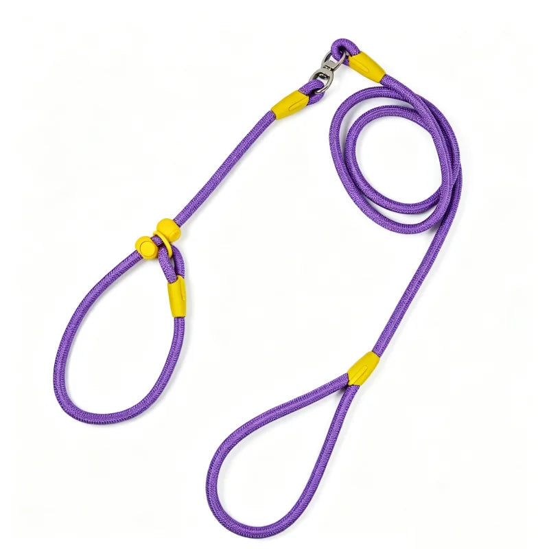 Tangle-Free Nylon Dog Training Leash P-Chain Collar 160cm