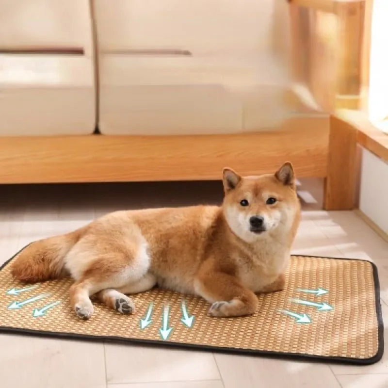 Bamboo Dog Cooling Mat – Summer Bed for Dogs & Cats
