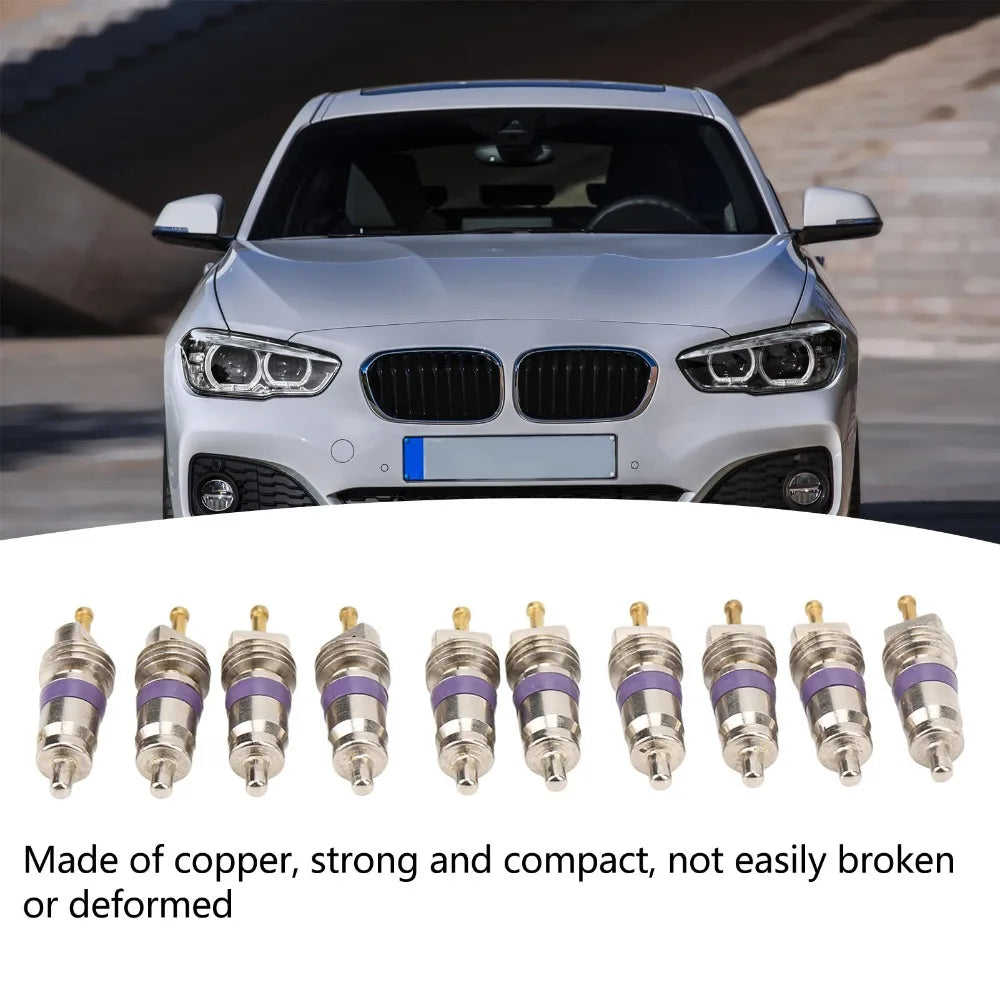 20PCS Car A/C Schrader Valve Core Set – Multi-Size Universal Kit