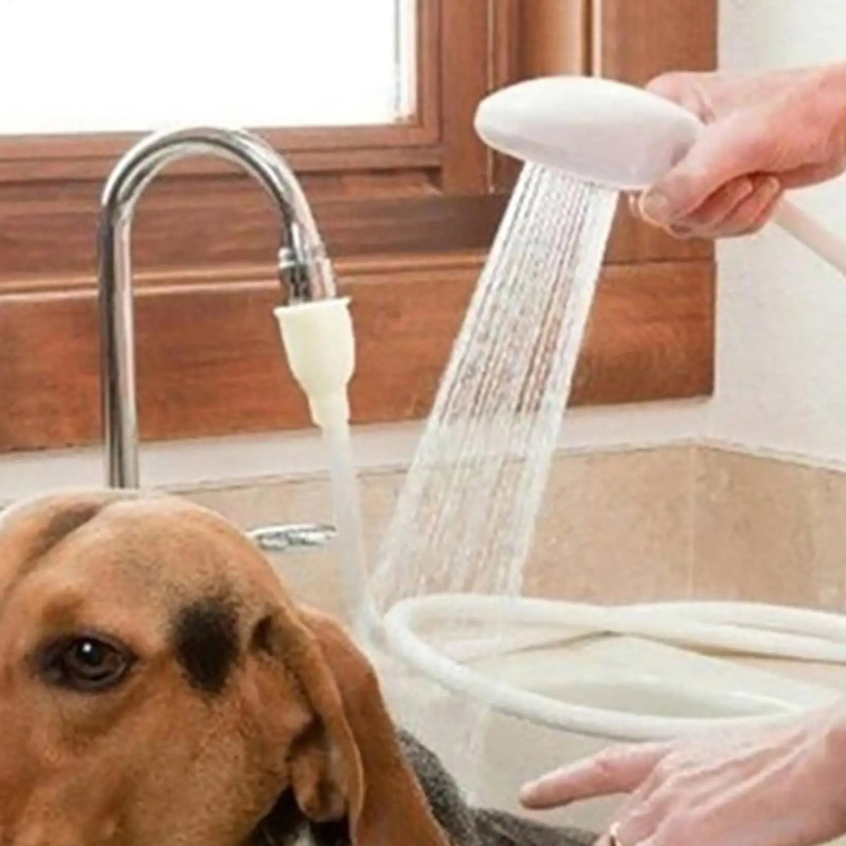 Pet Shower Head with Extended Hose for Dogs & Cats | Nixie