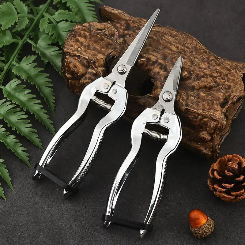 Stainless Steel Pruning Shears – Sharp Precision Garden Tool