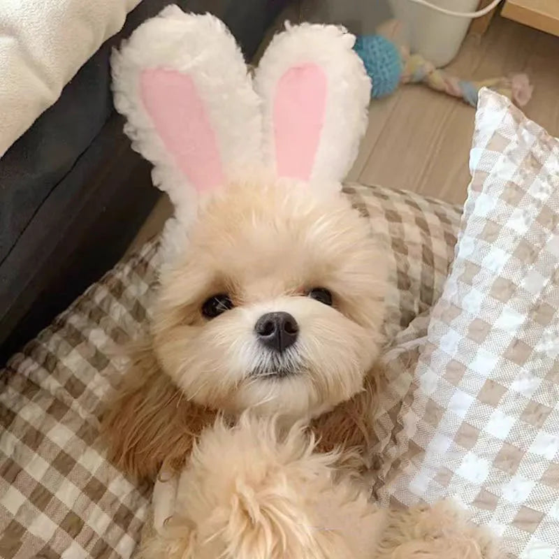 Cute Bear Rabbit Hooded Pet Hat – Soft Fleece Cat & Dog Cosplay
