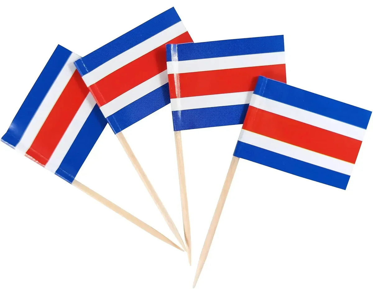 Netherlands Flag Toothpicks – Holland Mini Food Picks 100 Pcs