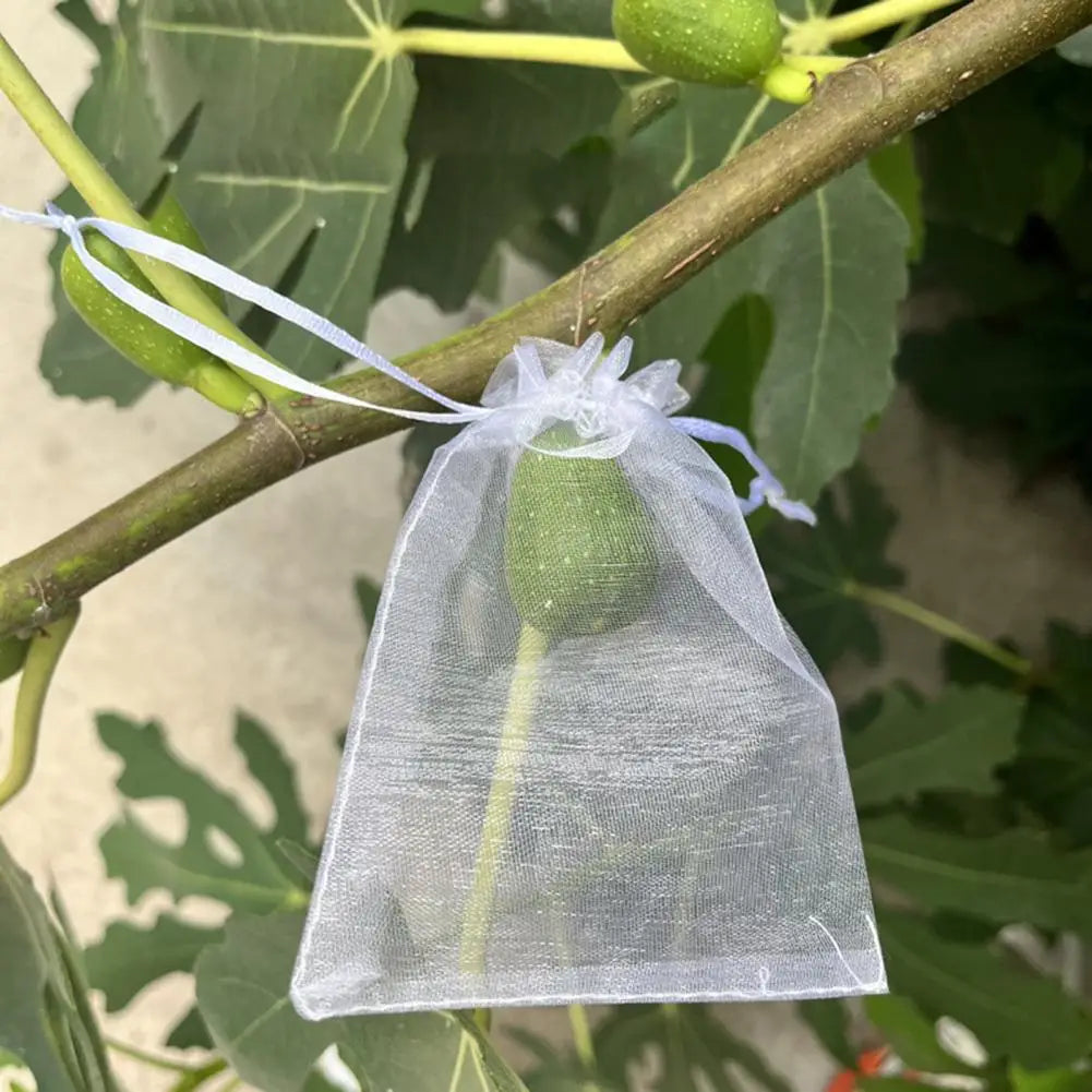 Reusable Mesh Fruit Protection Bags with Drawstring – 10–40 Pack