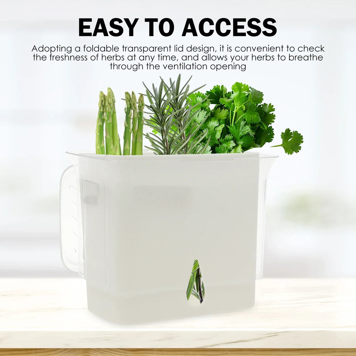 Airtight Herb Keeper Storage Container with 3 Dividers