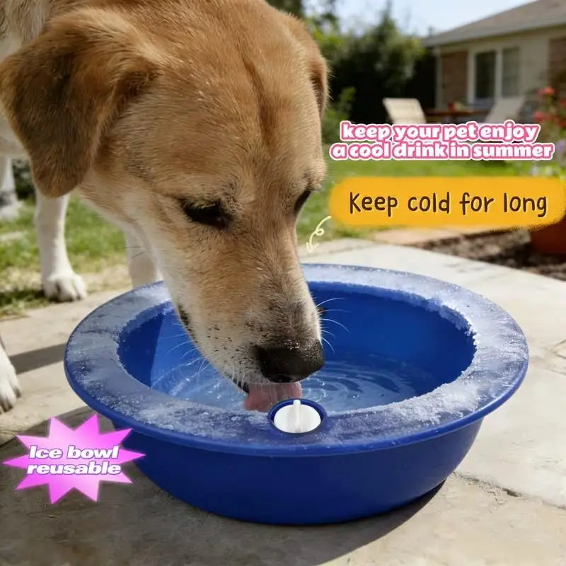 Summer Cooling Dog Bowl – Ice Pet Water Feeder | Cold Retention