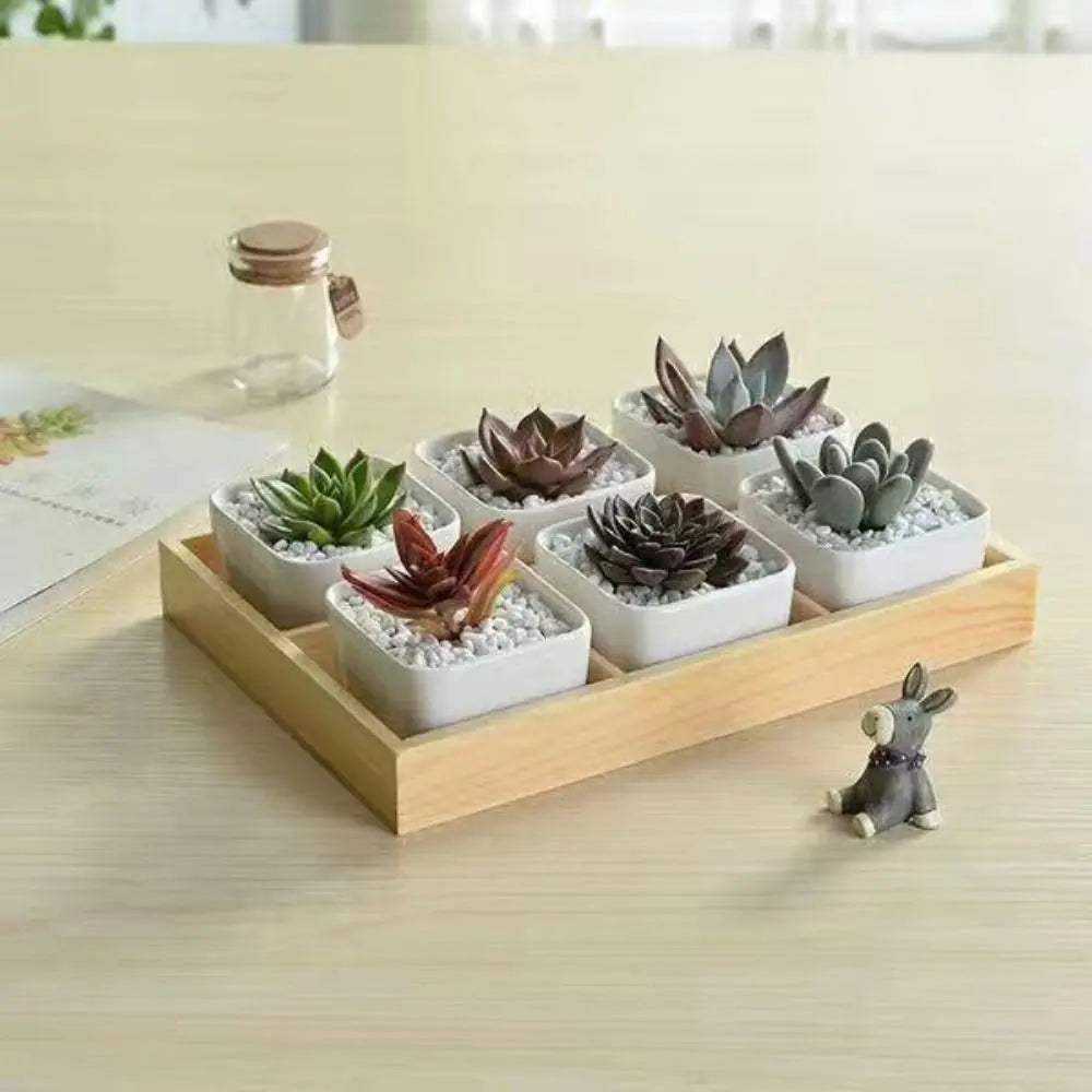 Multi-Grid Wood Succulent Tray & Desktop Organizer Holder