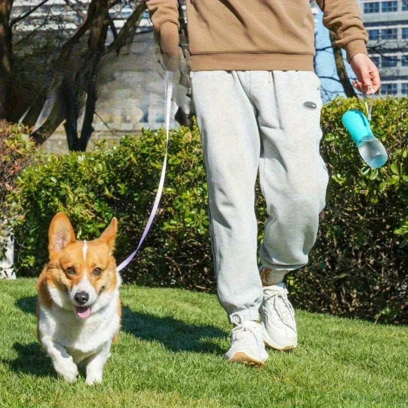 Nixie 300ML Portable Pet Water Bottle for Dogs & Cats