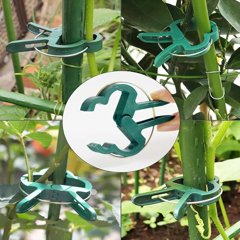 20Pcs Reusable Plant Support Clips for Vines & Seedlings