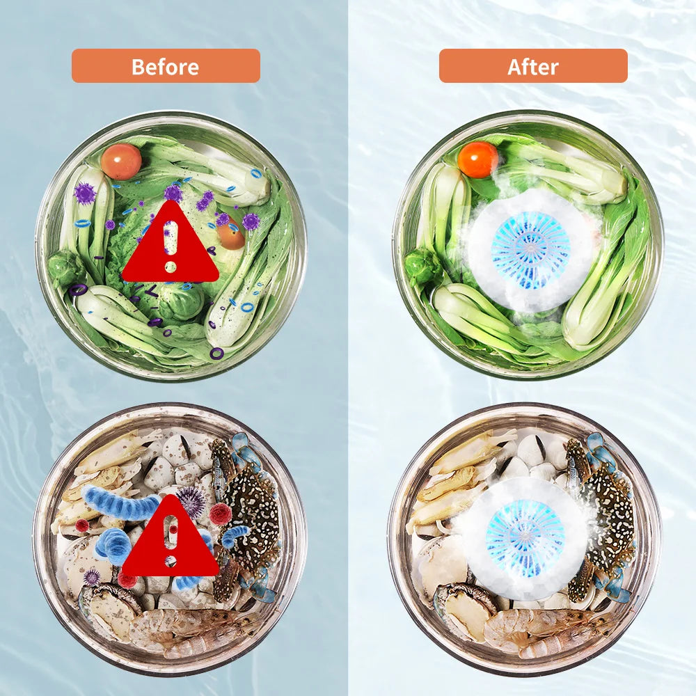 EraClean Fruit & Vegetable Washing Machine | Hydroxy Cleaner