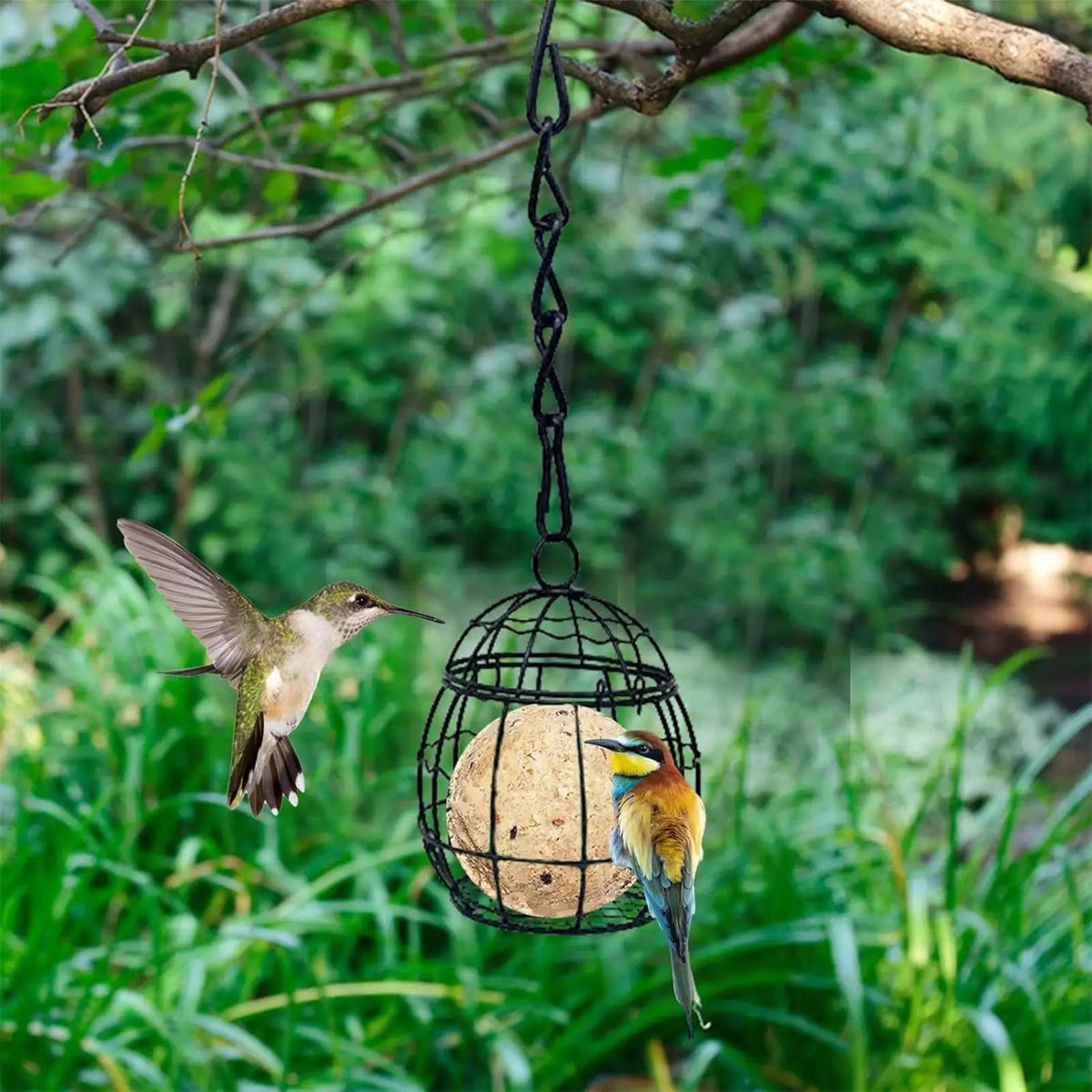 Squirrel-Proof Metal Suet Ball Feeder – Hangable Wild Bird Feeder