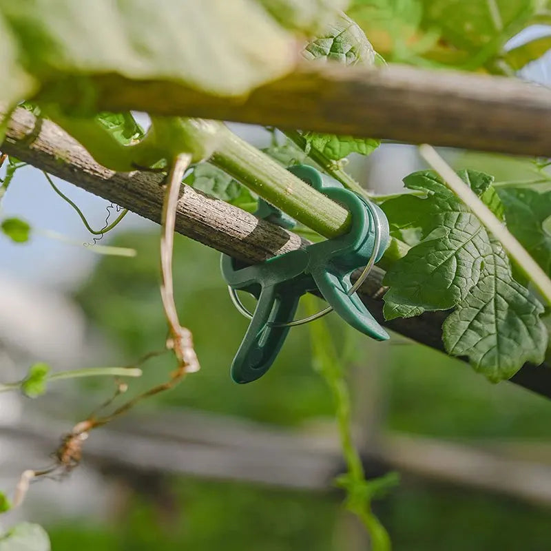 20Pcs Reusable Plant Support Clips for Vines & Seedlings