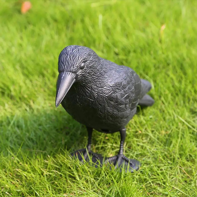 Realistic Black Crow Raven Decoy – Garden Bird Scare Ornament