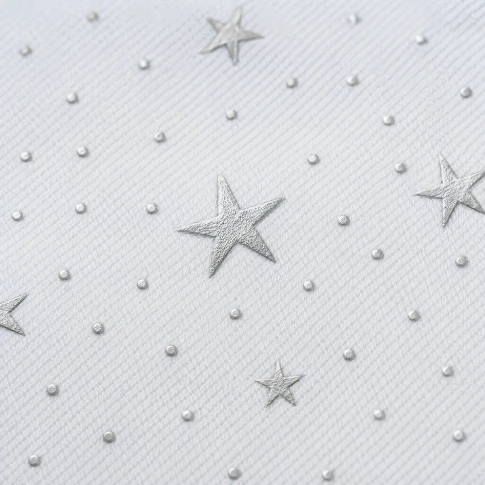 Star Polka Dot Pencil Case – Large Canvas Pen Bag for School