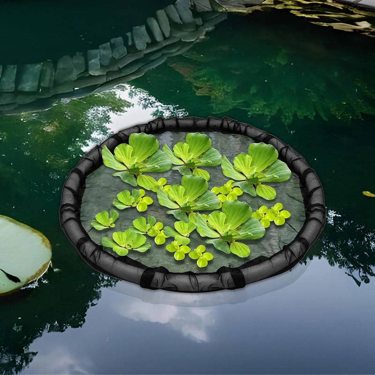 Round Floating Plant Corral 17.7" Fine Mesh Pond Planter