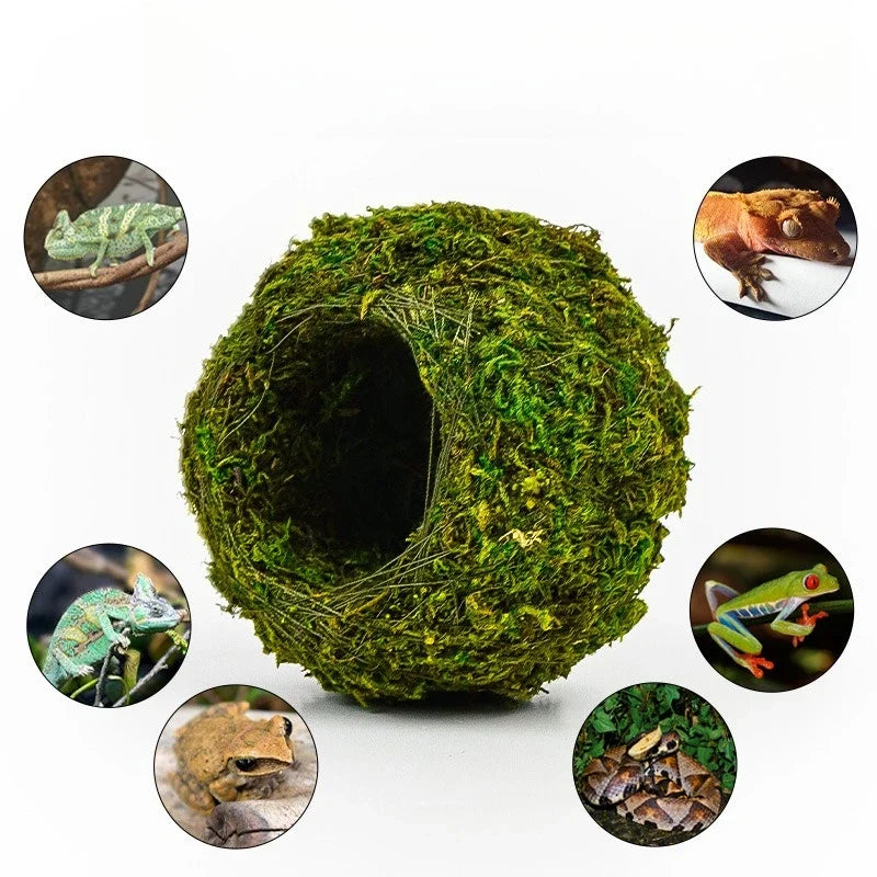 Reptile Moss Hiding Cave – Snake & Lizard Hide Terrarium