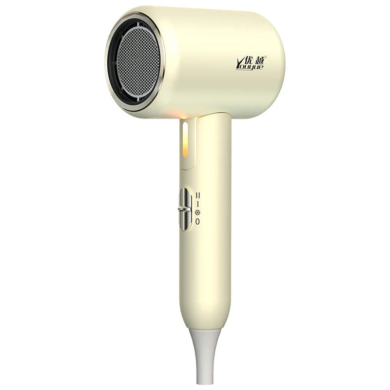 2400W Foldable Ionic Salon Hair Dryer – Home & Hotel